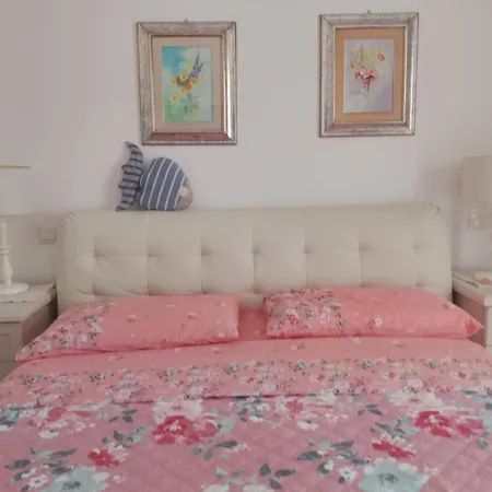 B&B BENTOS PULA di Lucarelli S-2